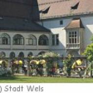 Wels Burg Burg Wels