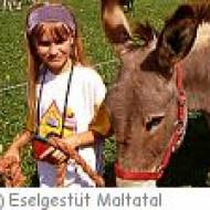 Maltatal Eselgestüt