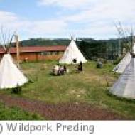 Wildpark Preding Wildpark Preding
