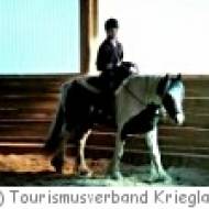 Schule: Freizeitpartner Pferd Krieglach Schule: Freizeitpartner Pferd Krieglach
