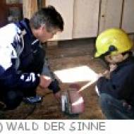 Wald der Sinne Schule