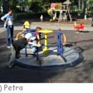 Donaupark Kleinkindspielplatz Donaupark Kleinkindspielplatz