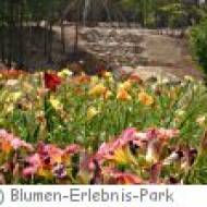 Blumen-Erlebnis-Park Blumen-Erlebnis-Park
