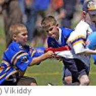 Vikiddy
