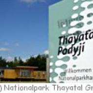 Nationalparkhaus Thayatal Nationalparkhaus Thayatal