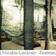 Landschaftsmuseum Schloss Trautenfels Landschaftsmuseum Schloss Trautenfels
