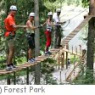 Waldhochseilgarten Forest Park Waldhochseilgarten Forest Park