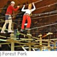 Indoor Forest Park Indoor Forest Park