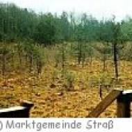 Attemsmoor Strass