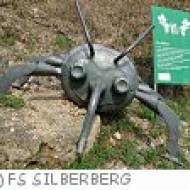 Weinlehrpfad Silberberg