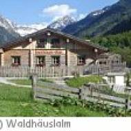 Waldhäuslalm Waldhäuslalm