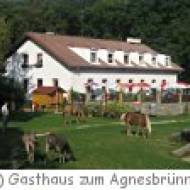 Gasthaus zum Agnesbrünnl Gasthaus zum Agnesbrünnl