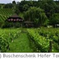 Buschenschank Hofer Toni Buschenschank Hofer Toni