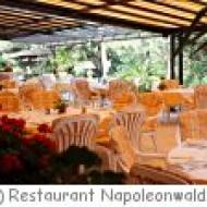 Restaurant Napoleonwald Restaurant Napoleonwald