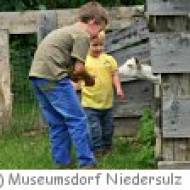 Museumsdorf Niedersulz Lebender Bauernhof Museumsdorf Niedersulz