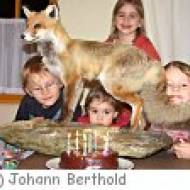 nationalparkhaus lobAU Kindergeburtstag