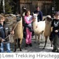 Lama Trekking Kindergeburtstag Lama Trekking Kindergeburtstag