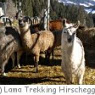 Lama Trekking Schule Lama Trekking Schule