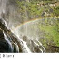Fallbachfall