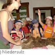 Museumsdorf Niedersulz, Museumsführung