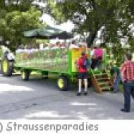 Straussenparadies Kribbel Straussenparadies Kribbel