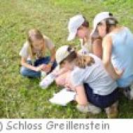 Schloss Greillenstein, Schulausflug Schloss Greillenstein