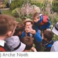 Arche Noah, Schiltern Arche Noah, Schiltern