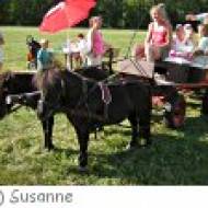 Kindergeburtstag am Reithof Aupor