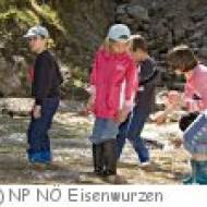 NP NÖ Eisenwurzen