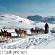 Huskyranch Waldviertel