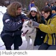 Huskyranch Waldviertel
