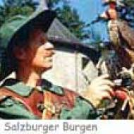 Greifvogel Flugvorführung Burg Hohenwerfen