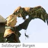 Falknerei Sonderprogramm Burg Hohenwerfen