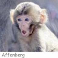 Affenberg Landskron ü Affenberg Landskron
