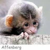 Kindergeburtstag Affenberg Landskron