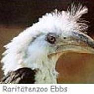 Raritätenzoo Ebbs ü Raritätenzoo Ebbs