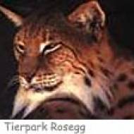 Wildpark Rosegg Luchs ü Wildpark Schloss Rosegg