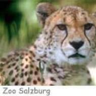 Zoo Salzburg