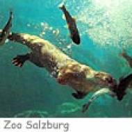 Kindergeburtstag im Zoo Salzburg