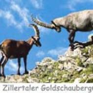 Zillertaler Goldschaubergwerk Wildpark ü Zillertaler Goldschaubergwerk