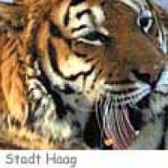 Stadt Haag Tierpark ü Tierpark Stadt Haag