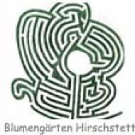 Irrgarten und Labyrinth in den Blumengärten Hirschstetten