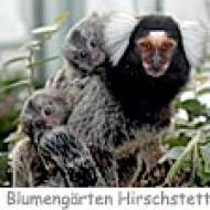Palmenhaus  Blumengärten Hirschstetten