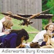 Adlerwarte Burg Kreuzenstein ü Adlerwarte Burg Kreuzenstein