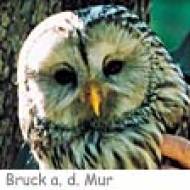 Bruck Naturschutzzentrum ü Naturschutz Zentrum Weitental bei Bruck an der Mur