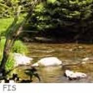 Zwettl Flusswanderung ü Zwettl Kamp Flusswanderung