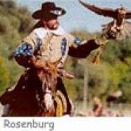 Rosenburg Pferd ü Greifvogel Flugvorführungen zu Pferd auf Schloss Rosenburg