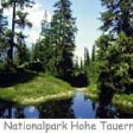 NP Hohe Tauern Sbg Rauriser Urwald ü Rauriser Urwald Nationalpark Hohe Tauern Salzburg