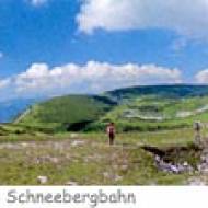 Plateauwanderung am Schneeberg