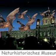 NHM Dark Side ü Dark Side - Nachts im Naturhistorisches Museum